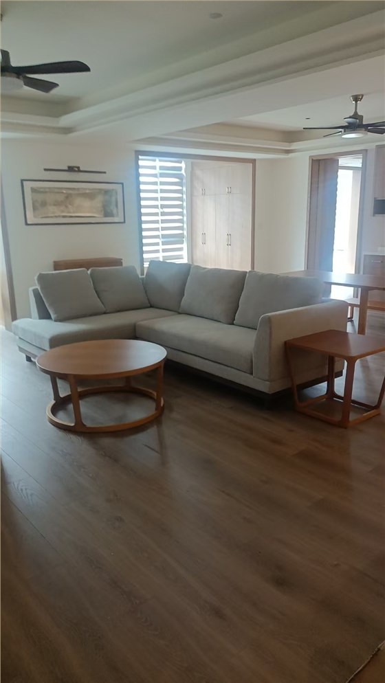 金光路1 金光路1