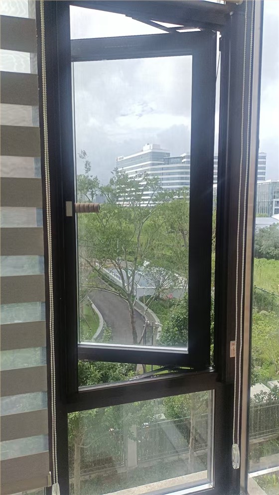 金光路2 金光路2